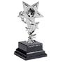 Silver Star Trophy H022S thumbnail